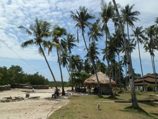 Das gleiche in die andere Richtung 
Teure Resorts vor den Mangroven ohne schönen Strand 
Na wens gefällt!!!