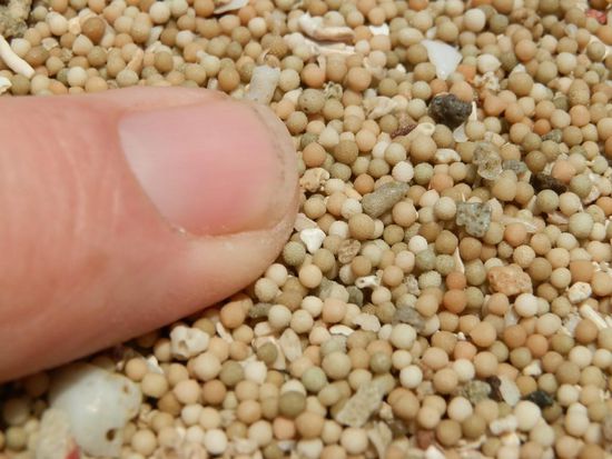 So sieht hier fast überall der Sand aus