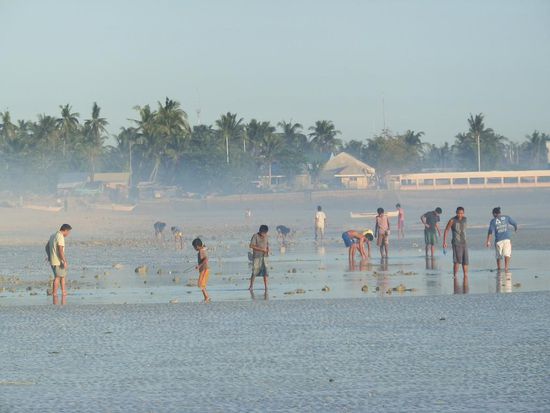 Die Küsten im leichten Nebel gehüllt