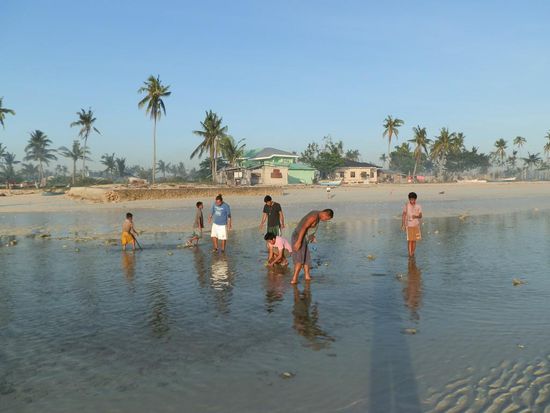 Aber nur kurz, als die Sonne höher kam war auch der Nebel weg
Viele waren dort um Muscheln zu sammeln