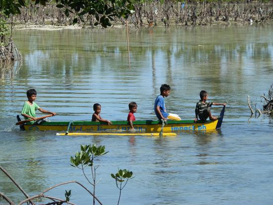 In den Mangroven herscht meist absolute Stille
Doch hier, an diesem Morgen war richtig was los!