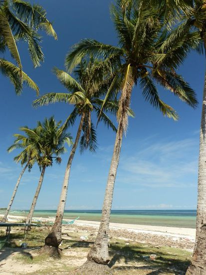 Schön ist die Insel doch immer noch 