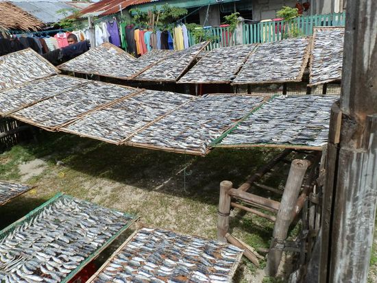 Hier wird überall Fisch getrocknet
Riecht echt gut hier...