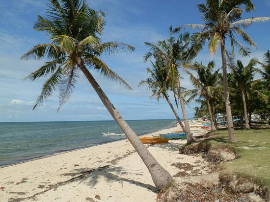 Und schon ganz nah an Madridejos