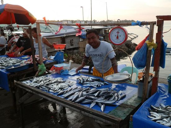 Und die anderen verkaufen ihn...