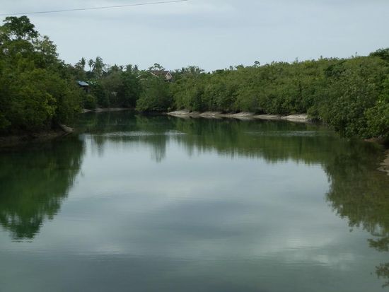Der Norden von Panglao
Große Seen mit Mangroven - sehr schön