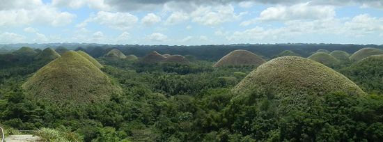 Die Chocolat Hills - sind sie nicht toll!!!