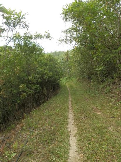 Bis wir nicht mehr sicher waren ob es noch weiter geht
Dieser Weg sieht noch richtig gut aus - was dann kam...leider vergessen Fotos zu machen 