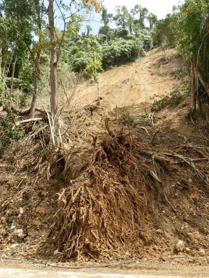 Viele Strecken waren erst vor kurzem von den Abgerutschten Hängen geräumt worden