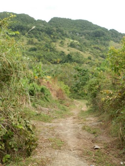 Weit kamen wir nicht mit unserem Bike