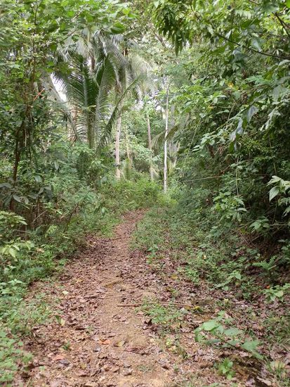 Also stehen lassen und zu Fuss ging es weiter