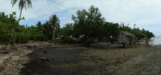 Fischer die direkt in den Mangroven fischen