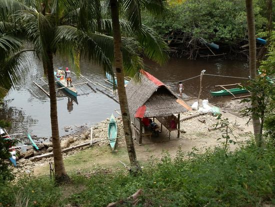 Leben am und im Wasser 