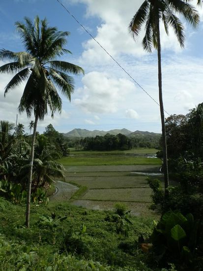 Mount Malibalibod - liegt im Osten der Insel