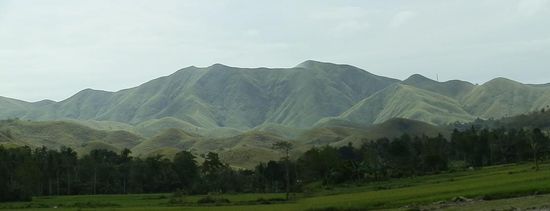 Und dann noch mal aus der Nähe