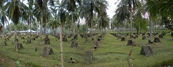 In der nähe von Trinidad 
Eine Cockfarm...Kampfhähne Züchterei