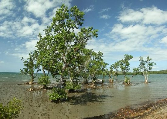 Nicht wichtig aber schön...