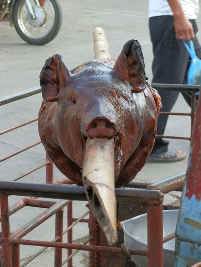 Erst wollte ich dieses bild nicht zeigen, weil es so fies aussieht
Aber hier ist es Alltag...kaum eine Stadt oder eine Feier wo es das nicht gibt