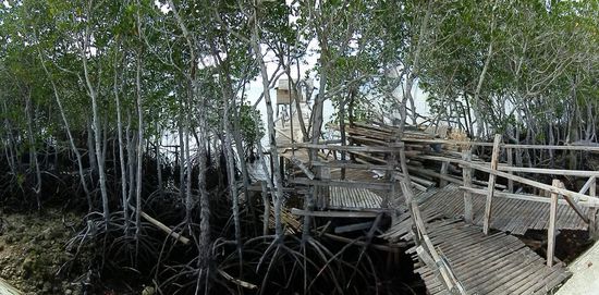 Nein, auf diesen Steg geh ich sicher nicht rauf 