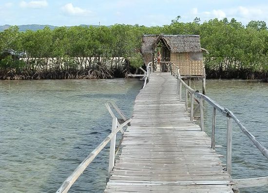 Ich warte schön hinter dem Häuschen