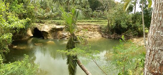Der Niluksoan Waterfall
Leider viel zu wenig Wasser