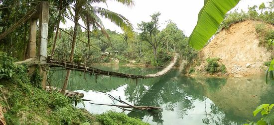 Und dann kam doch noch das Highlight des Tages
Eine Hängebrücke!!!