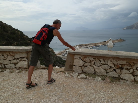 Auf gehts und die Möven werden auch davon profitieren denn wir hatten noch einiges an altes Brot mitgenommen