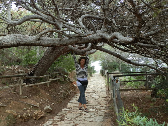 Auch hier ein schöner gepflegter Wanderweg