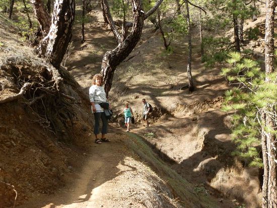 Die Wege sind leicht zu erkennen