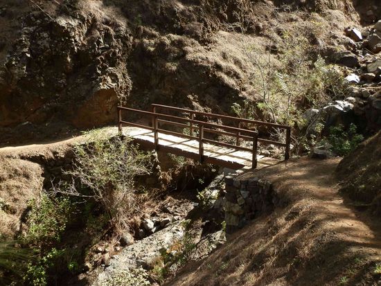 Obs wohl noch sieben werden