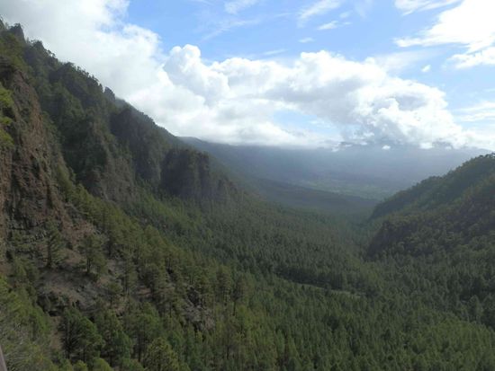 Irgendwo in Richtung Horizont müssen wir hin...