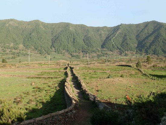Viele Wege führen irgendwo hin...