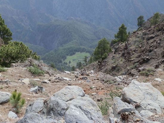 Baumgrenze ist erreicht