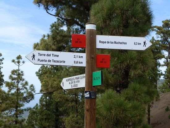 Keine Menschenseele unterwegs - aber wenigstens weis er wo es lang geht