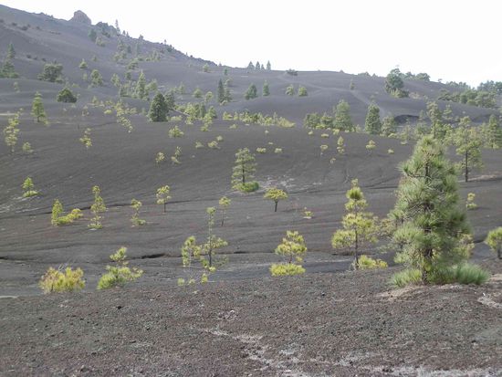Meine Augen wollten diesen Platz gar nicht mehr verlassen 