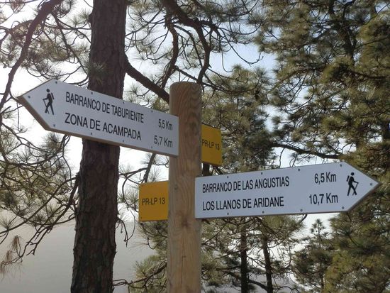 Der Weg ist gefunden