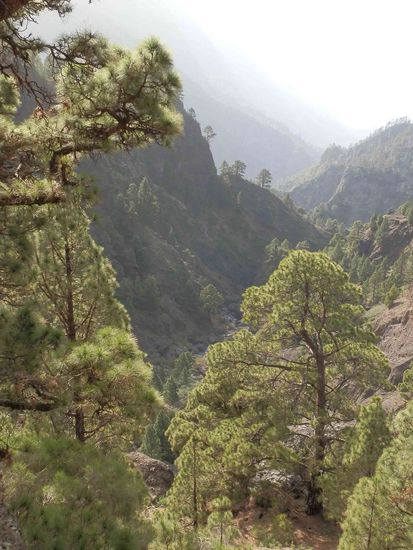 Es ist wirklich wunderschön hier!