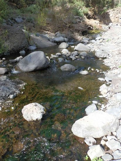 Oh ein Flusslauf mit Wasser
Es hat sehr lange nicht geregnet, daher sind die meisten trocken