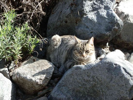 Nun ist sie satt und zufrieden und wir wandern dann mal weiter 
