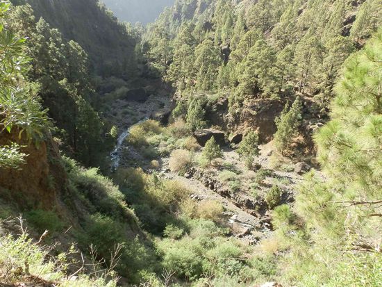 Centro de Servicios Playa de Taburiente
Bild vom Campingplatz - leider vergessen!