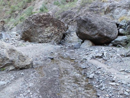 Die sind ganz schön riesig