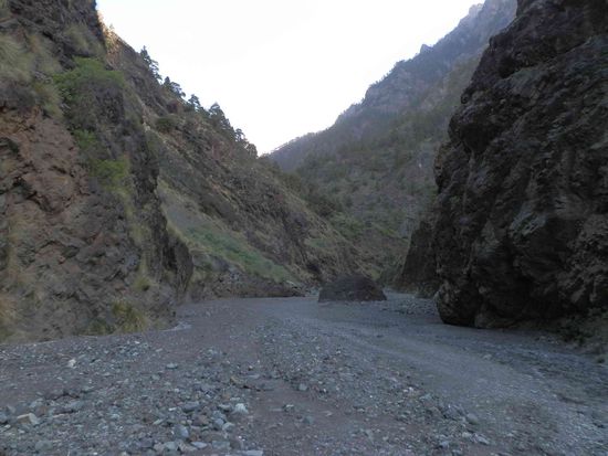 Die letzte halbe Stunde