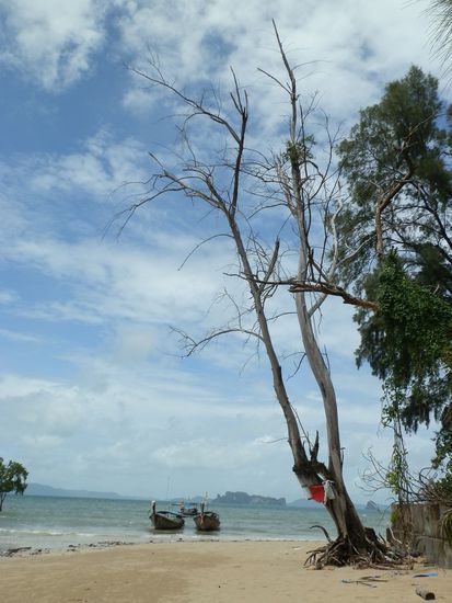 Einfach wundervoll!!!