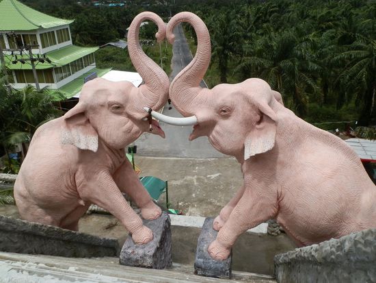 Nach den ersten Stufen