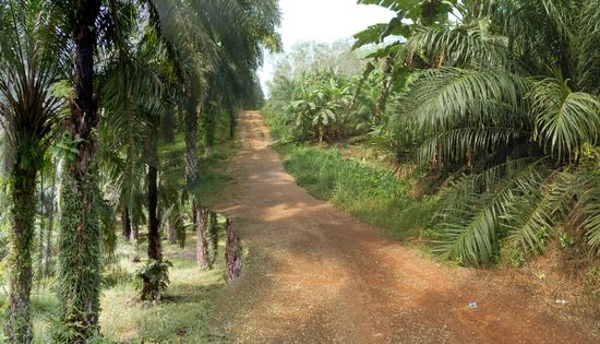 Die Bossis mal wieder auf Abwegen - es muss doch eine Abkürzung geben
Und ob es eine gibt, allerdings sagt das GPS das dies eine ganz normale Strasse ist - Es ging viele Kilometer so weiter aber es wahr am Ende dann doch OK