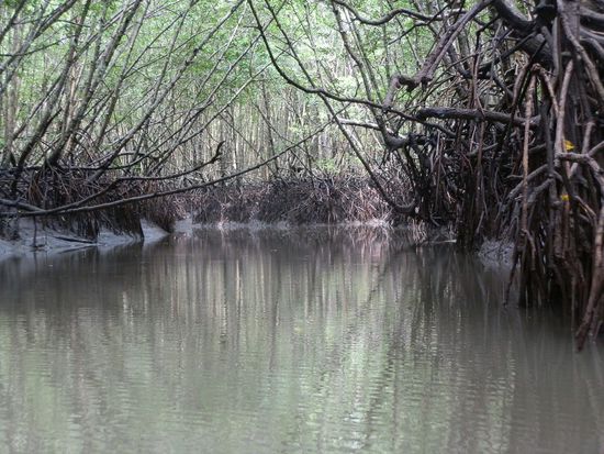 Und das Gebiet wird immer größer