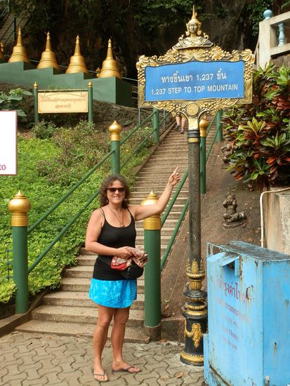 Was mach ich hier eigentlich - das sind 1237 Stufen