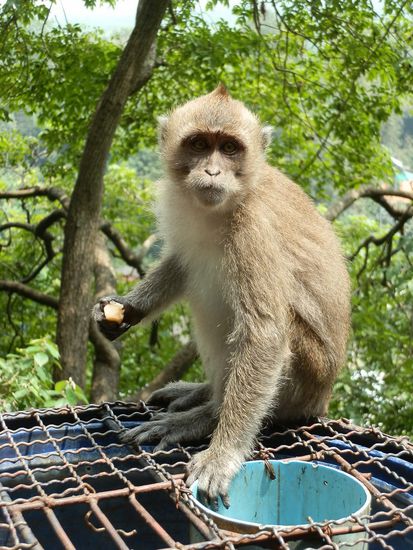 Der hats da schon viel leichter
