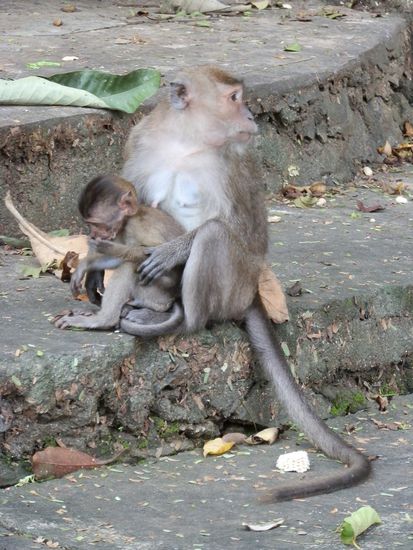 Und natürlich wieder diese Zeitgenossen 