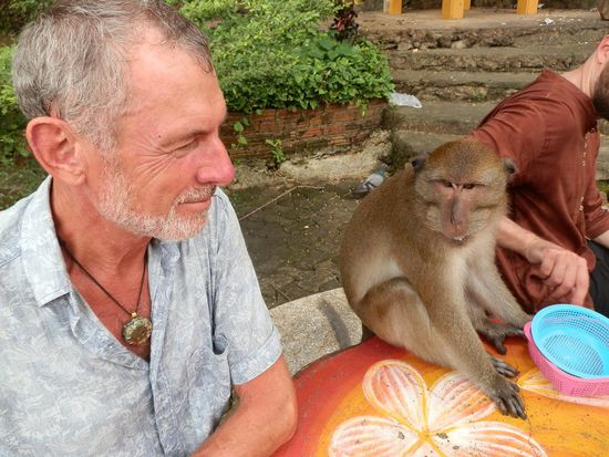 Ob die Zahm sind weis ich nicht - wir haben es nicht getestet sie anzufassen.
Angst hatten sie jedenfalls nicht